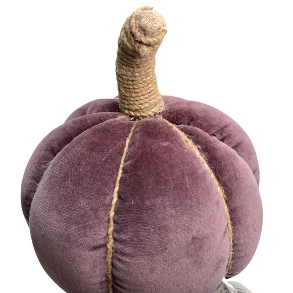 Pottery Barn Velvet Pumpkin Pillow Fig New With Tags 2023 READ - Picture 4 of 10